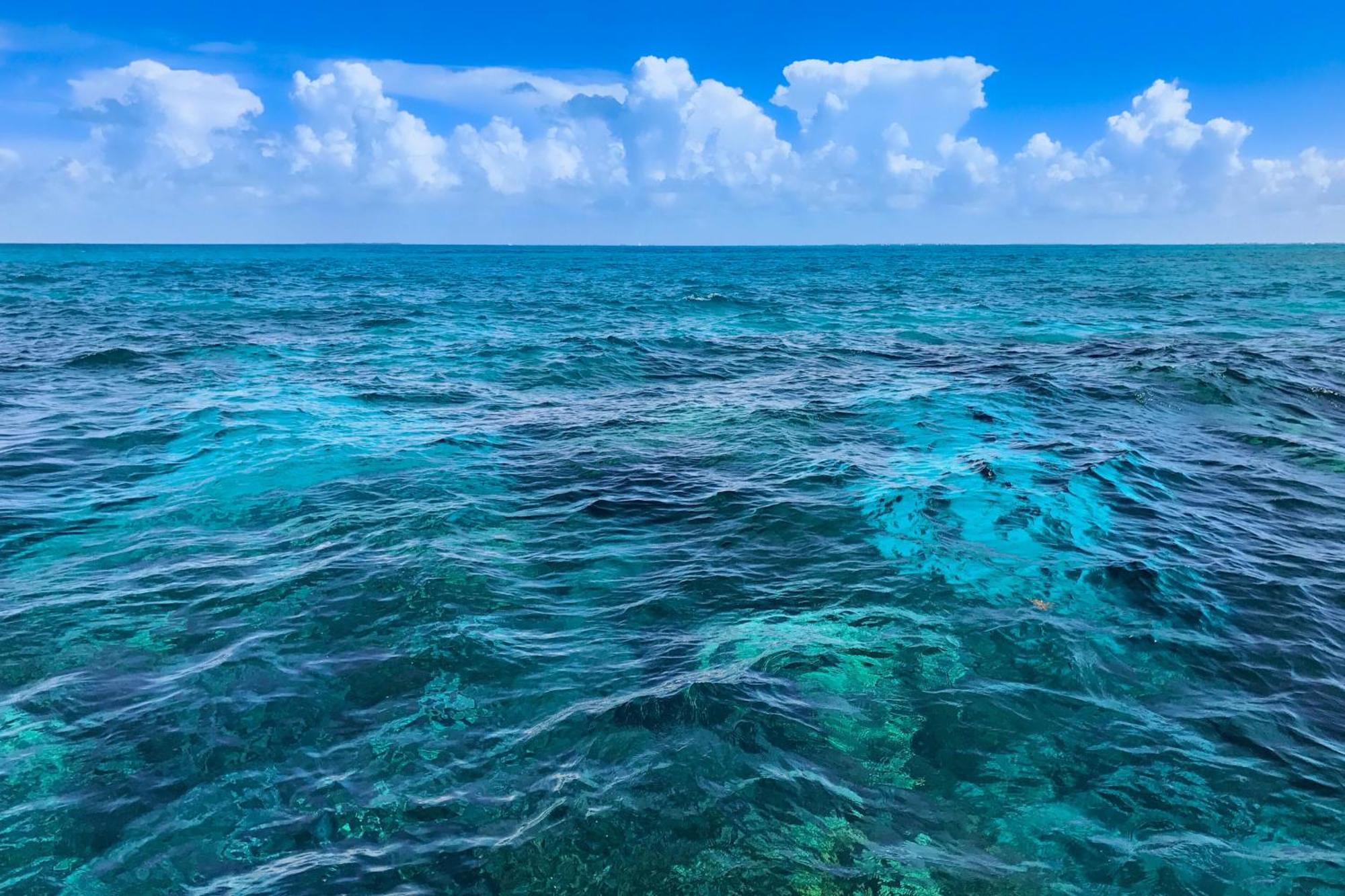 Sunrise Suites - Sea Breeze Suite 101 Key West Pokoj fotografie